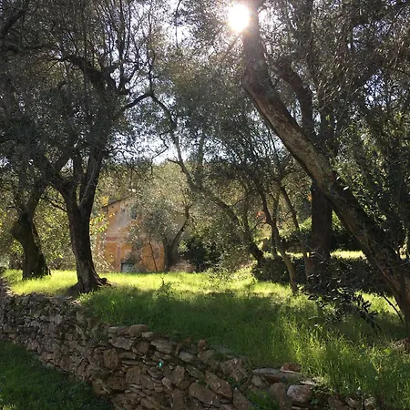 Romantisches Casa Limone